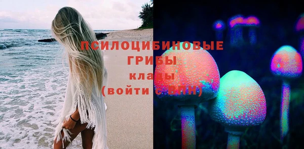 не бодяженный Богданович