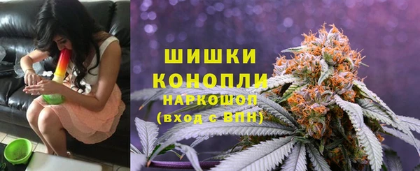 гидропоника Богородск
