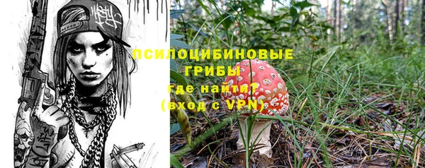 амф Богородицк